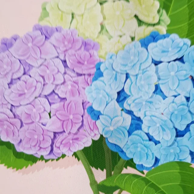 화이팅