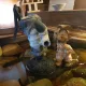 권뚱
