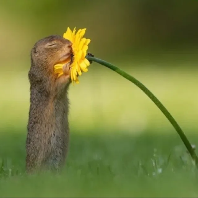 히큭