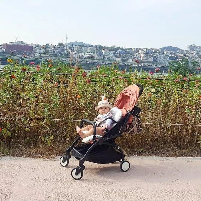궁디팡팡