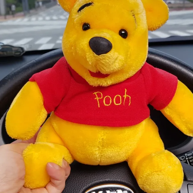 곰돌이Pooh