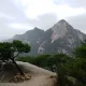 나른한오후