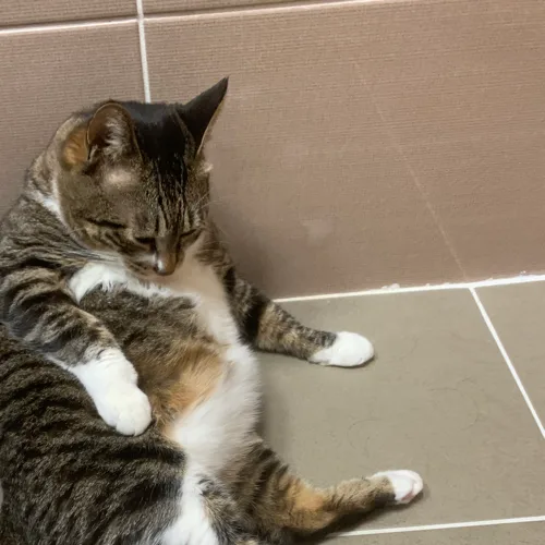 병철