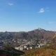 조이맘