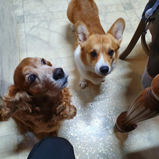 댱근