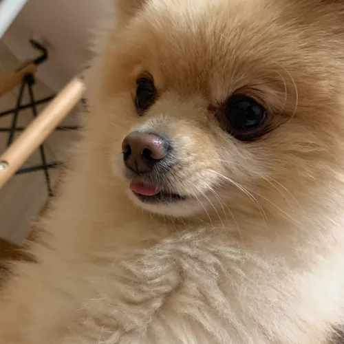봉천이