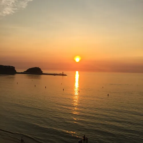 급당근