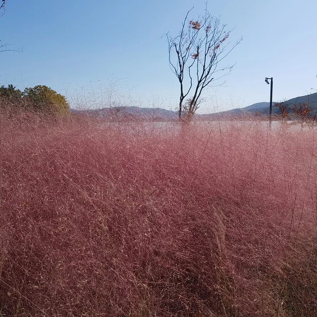 리뷰 프로필 이미지