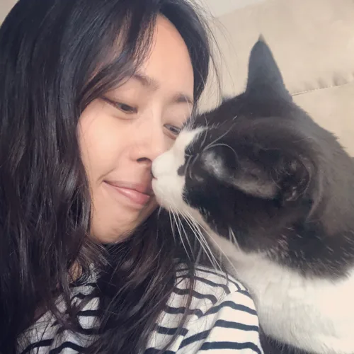 돌핀