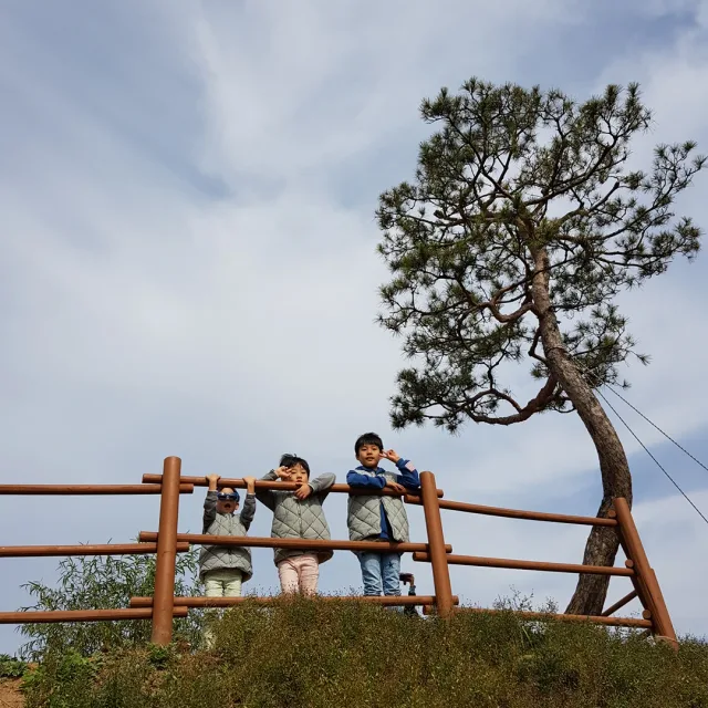 희호