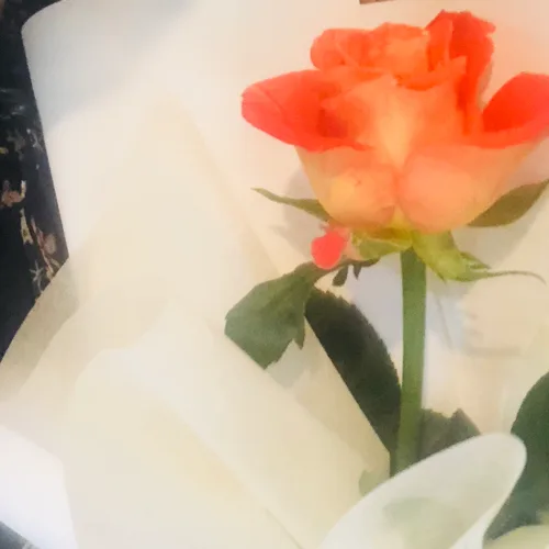 눈누난낭