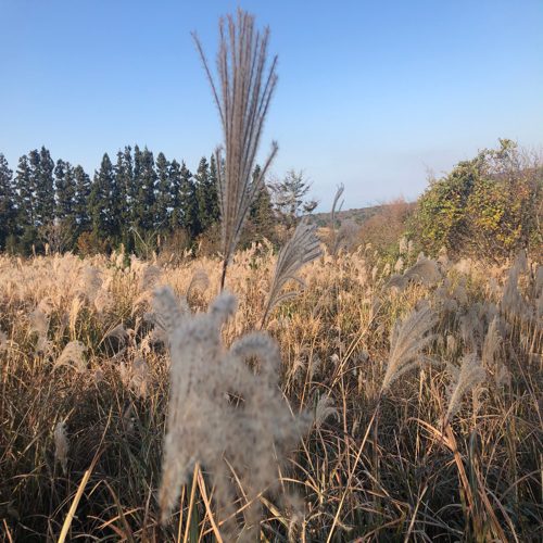 리뷰 프로필 이미지