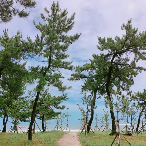 키힝