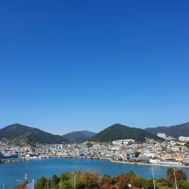 서교언니