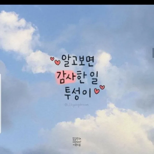 신나라
