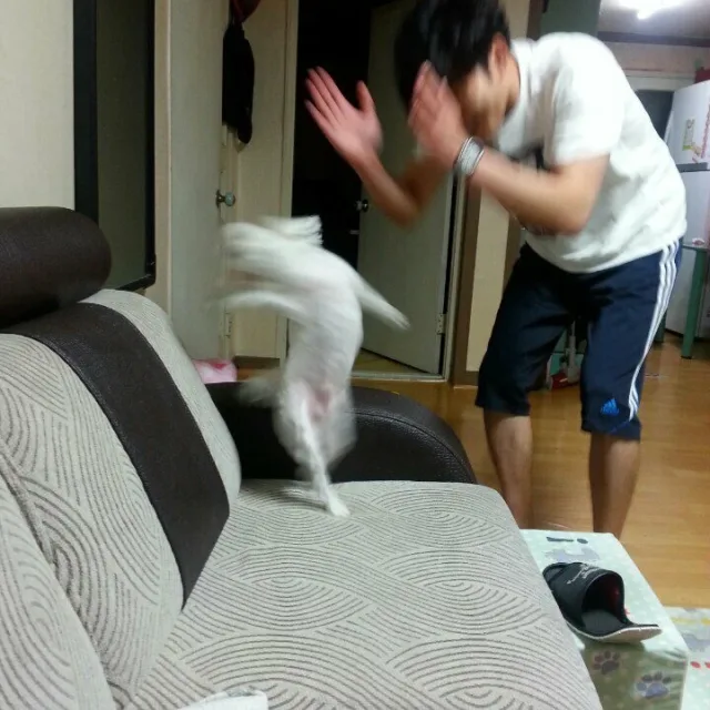 박수짝짝