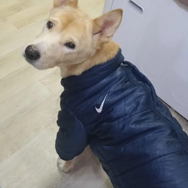 유진