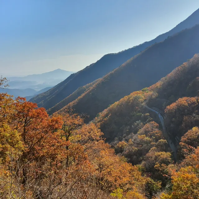 이것사고싶어