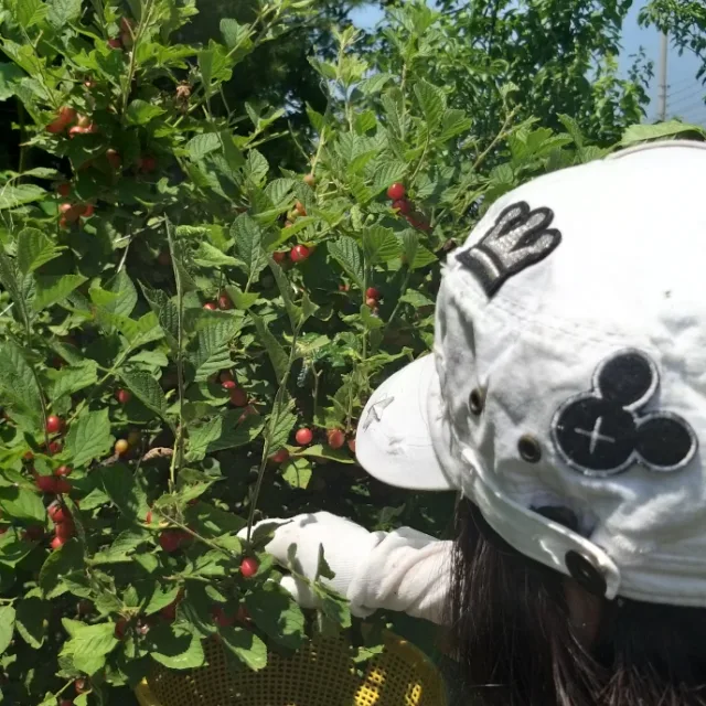 두두