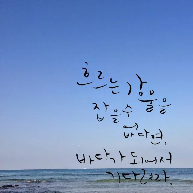 동해바다