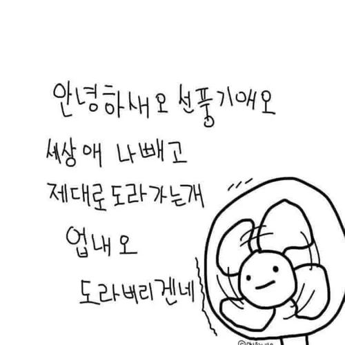 로니보니