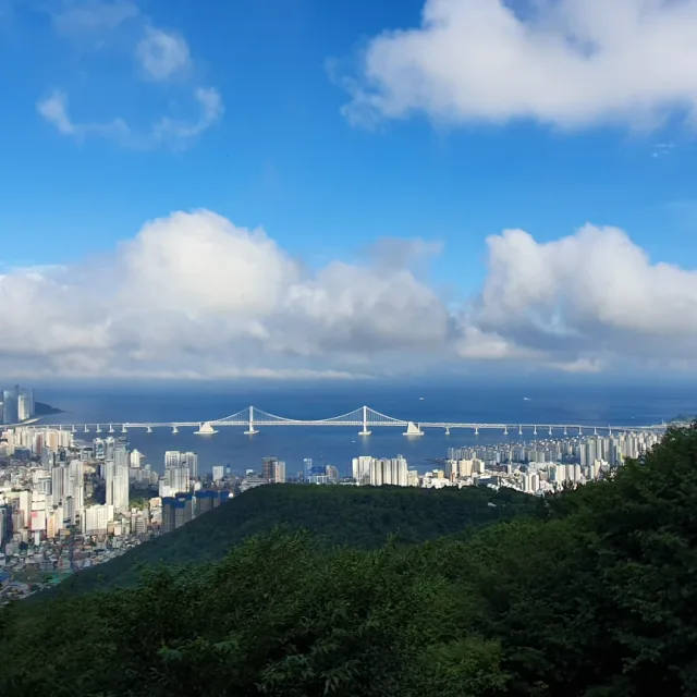 정리전문가