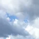 짱님