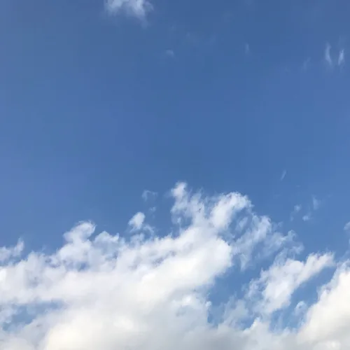 우사기