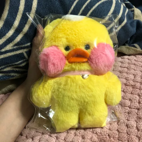 xy