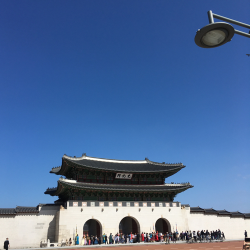 수니
