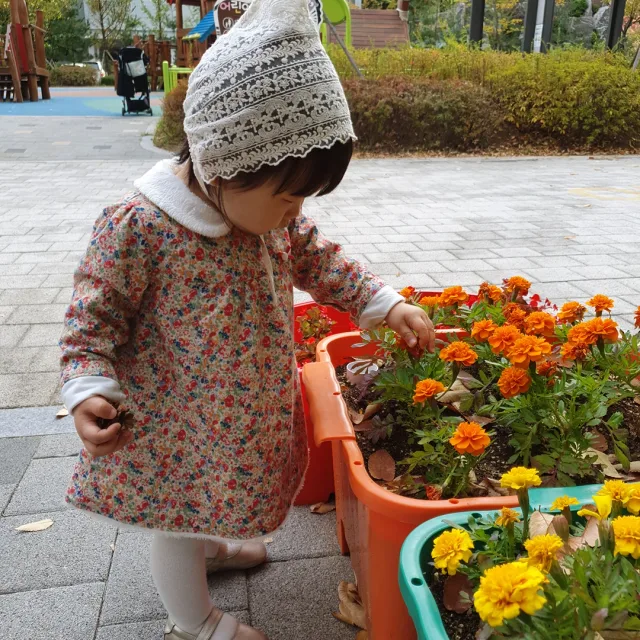 알사탕