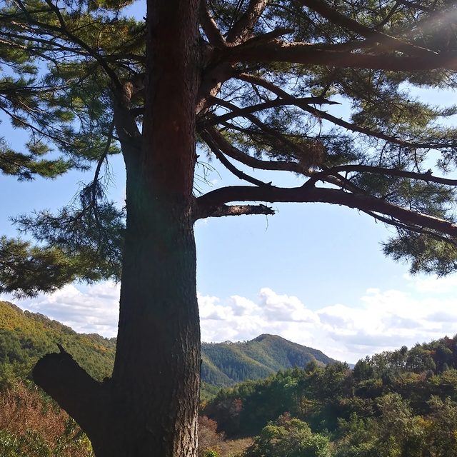 리뷰 프로필 이미지
