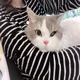 아짱