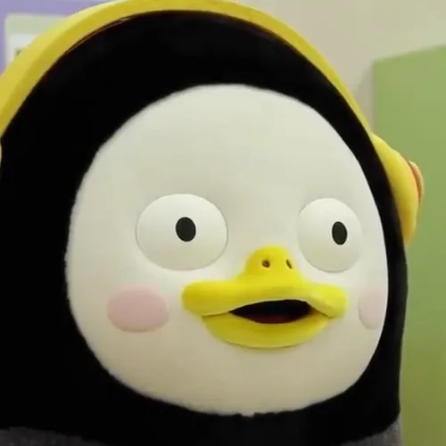 오케이수