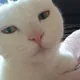 냐온