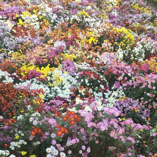엄마보다토끼