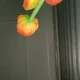 오로로