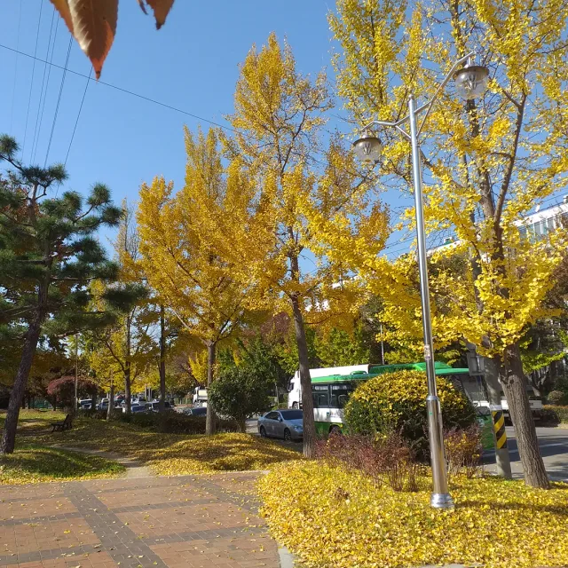 곰돌이
