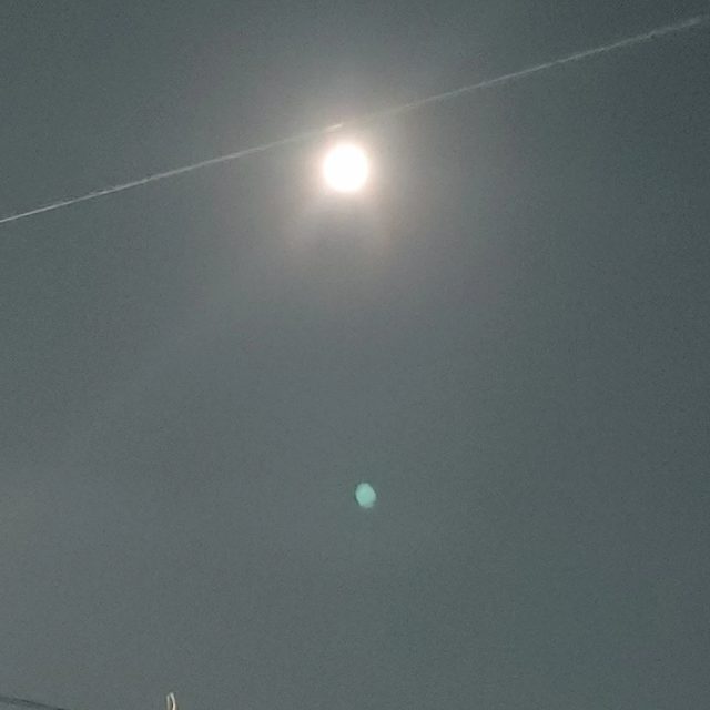 재치돌이