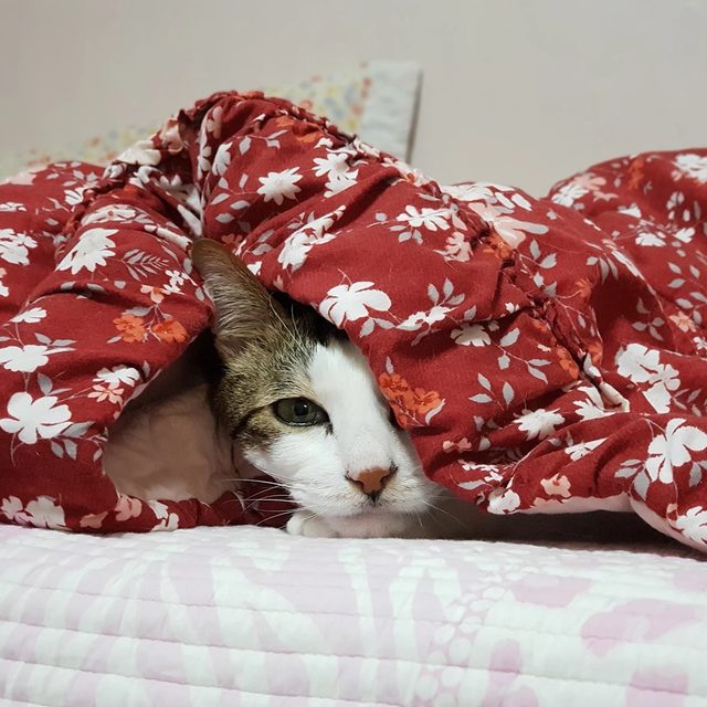 리뷰 프로필 이미지