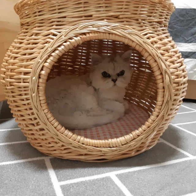 유진