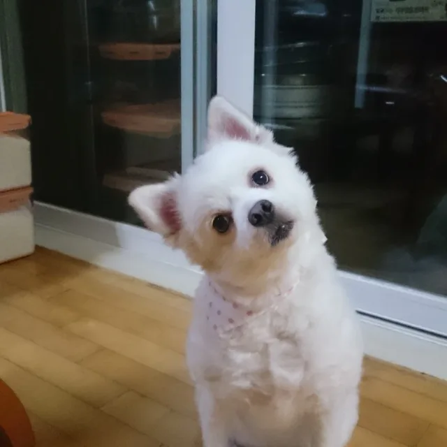 여기누구없소