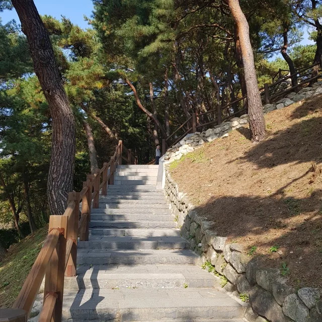 미사맘