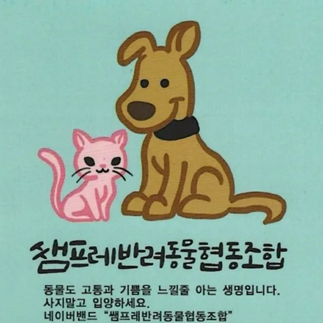 반려견입양협동조합
