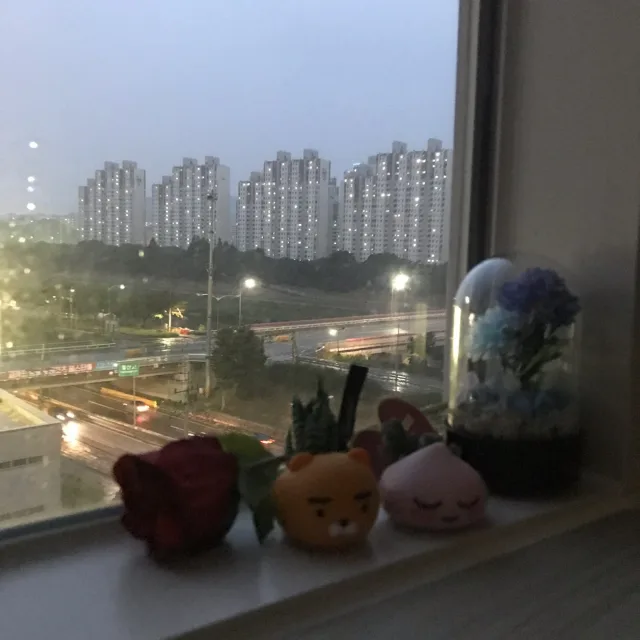 코코볼