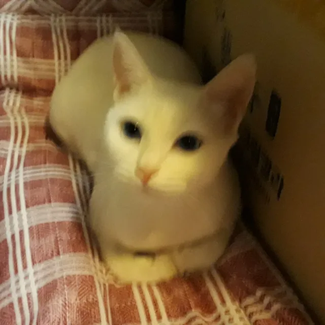 람쥐s