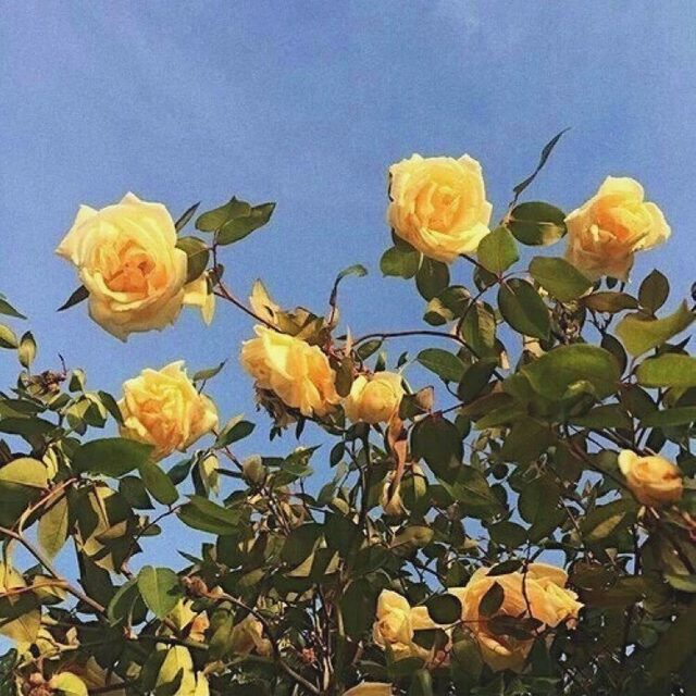 μ리λͺ½