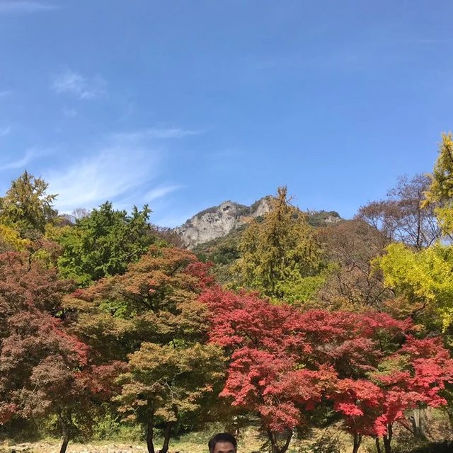 리뷰 프로필 이미지