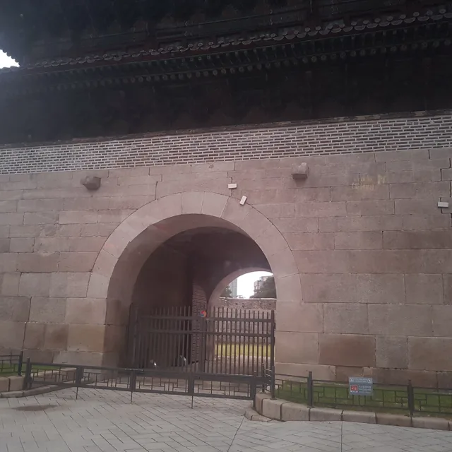 하늘보리