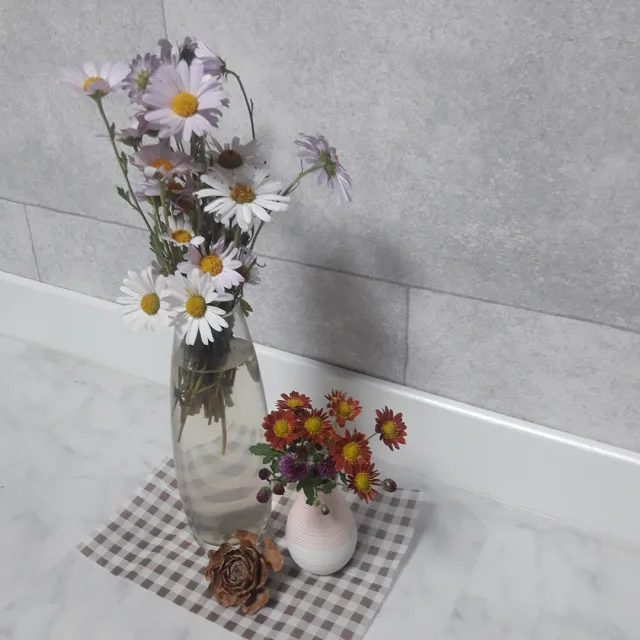 비움